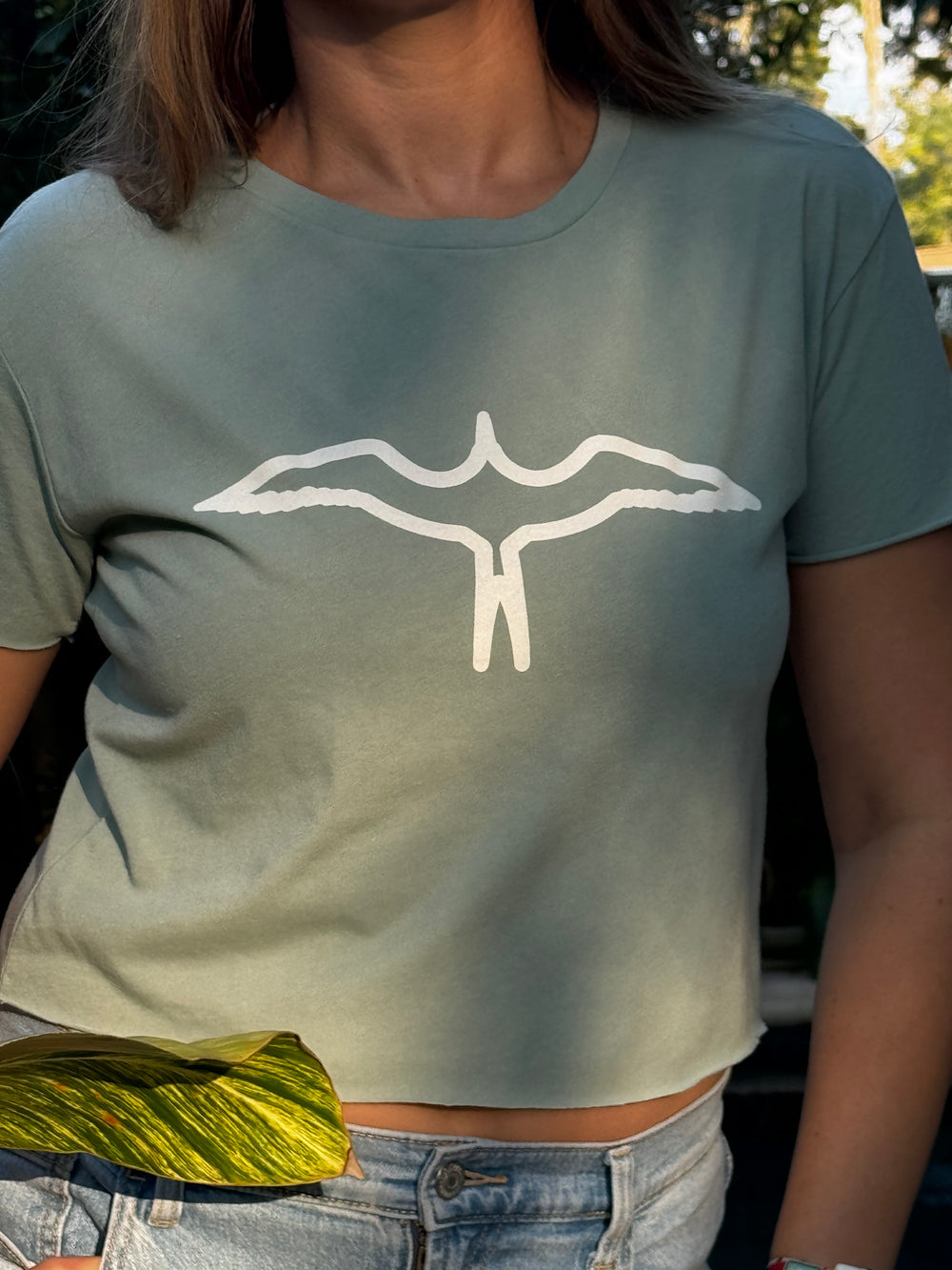 Frigate Outline Crop Top